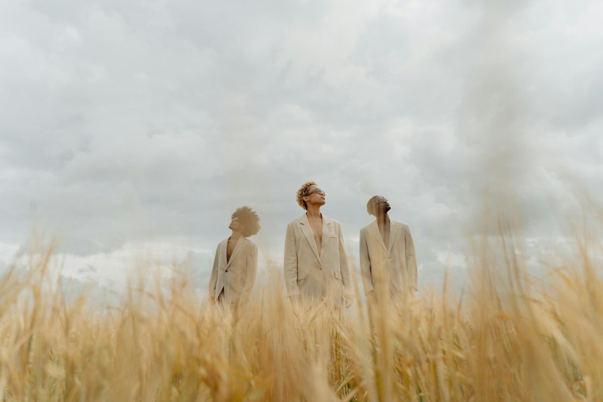 Elegant Models on a Field