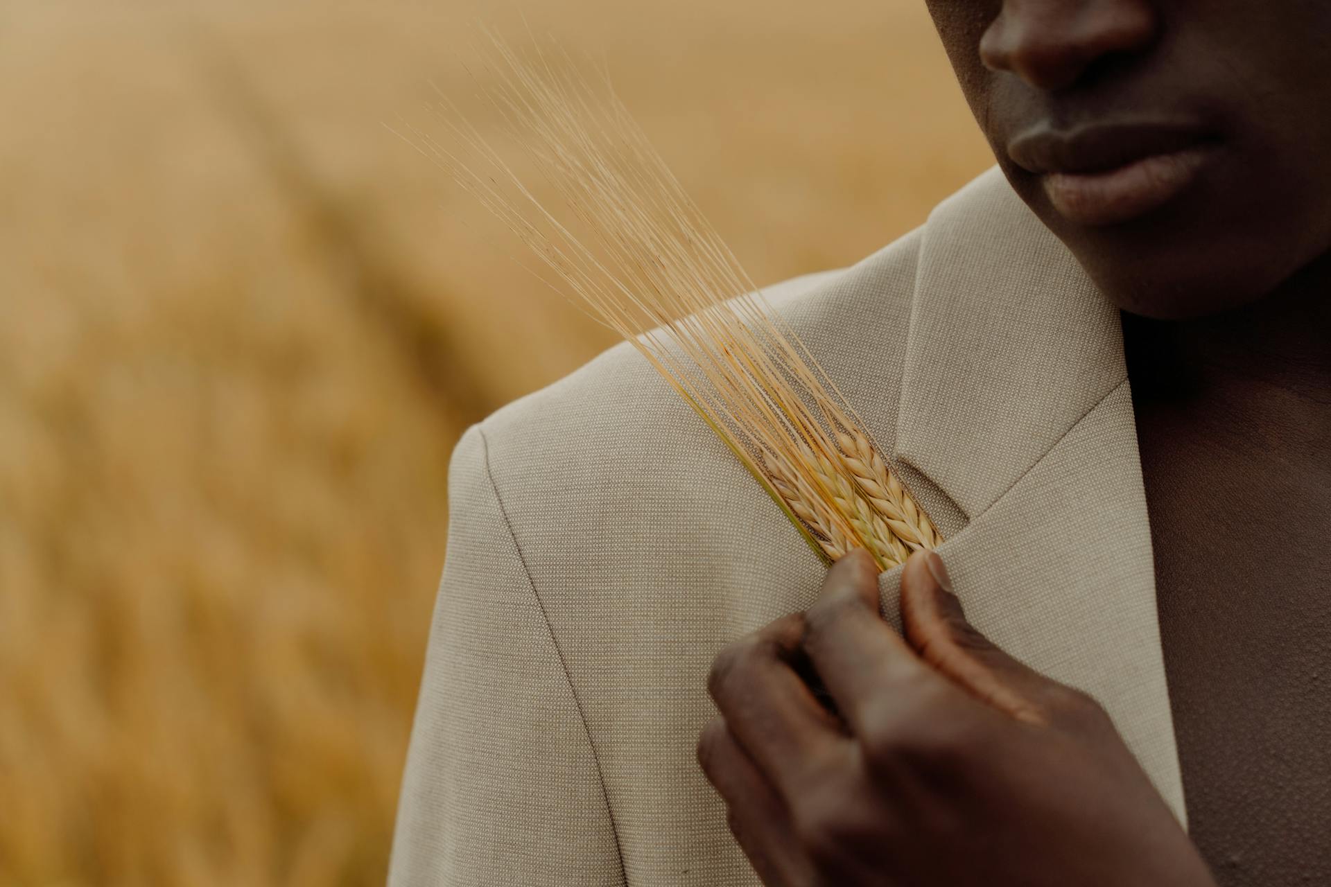 Black Man in Suit with Wheat Posing in Fall Field