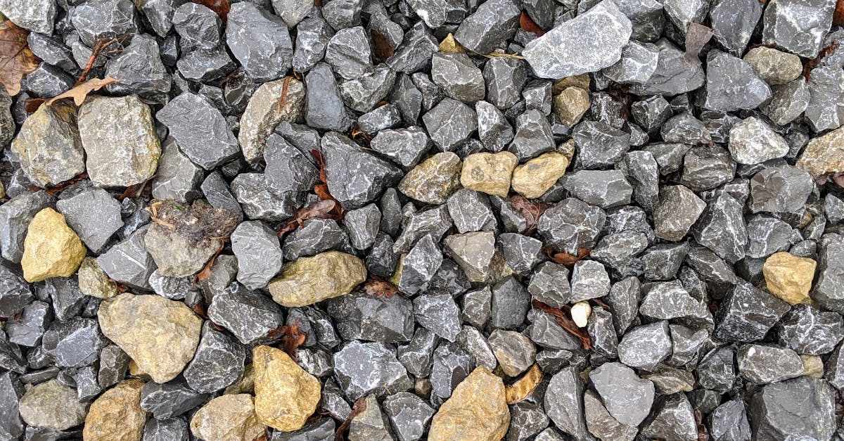 Rocks on Ground · Free Stock Photo