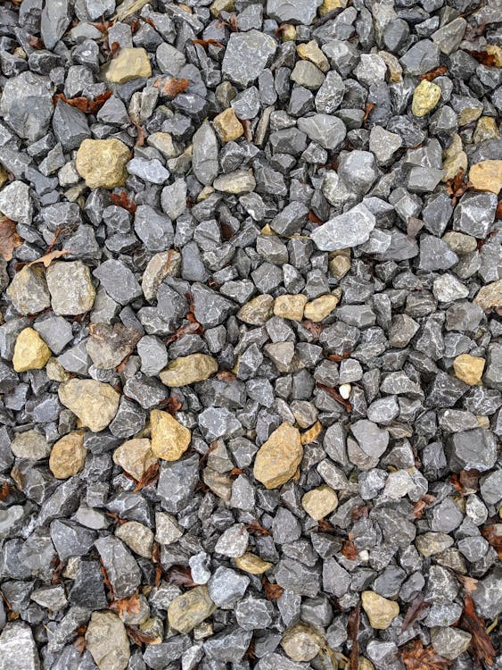 Rocks on Ground · Free Stock Photo