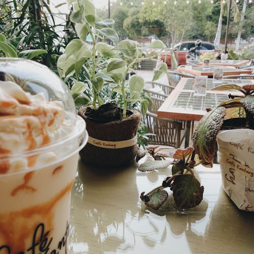 Free stock photo of bangsaen, cafe kantary, thailand Stock Photo