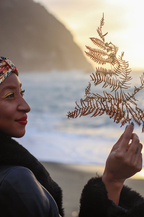 Základová fotografie zdarma na téma afroameričanka, držení, kapradina