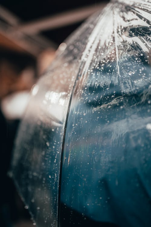 Fotos de stock gratuitas de gotas de lluvia, gotitas de agua, húmedo