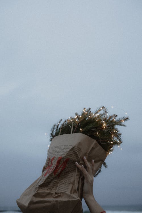 Hands Holding Paper Bag of Conifer Branches with Christmas Lighting