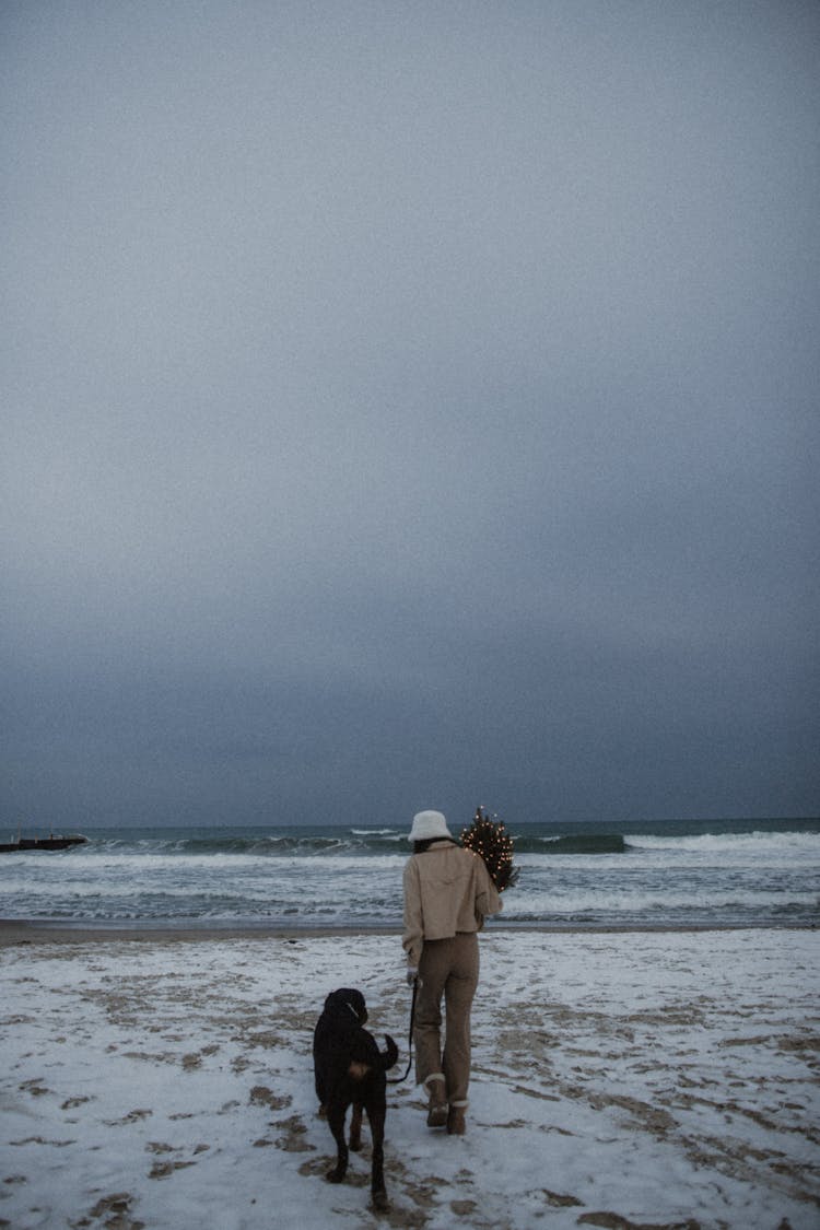 Woman Walking Her Dog On A Beach In Winter