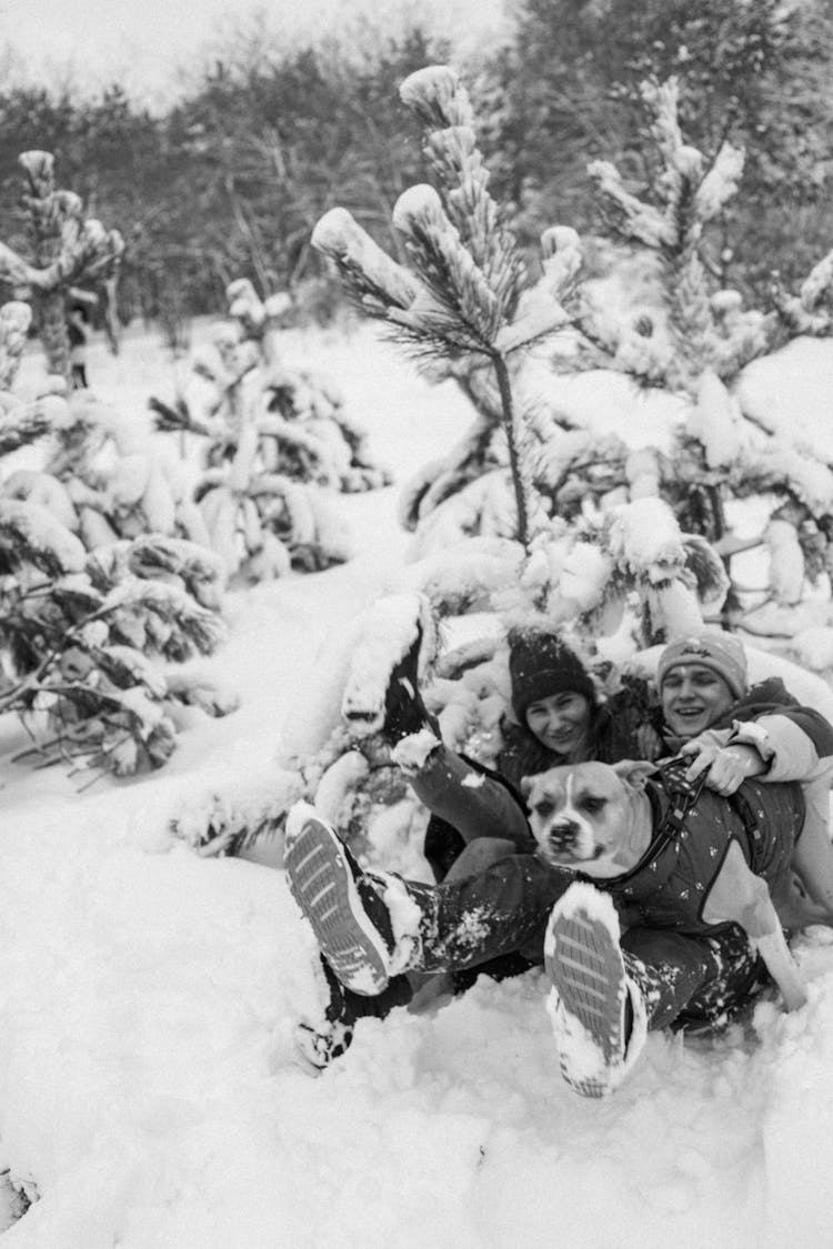 Man And Woman With Dog In Snow