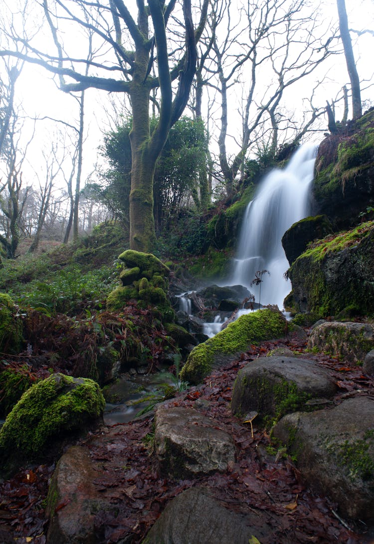 Rocks And Waterfall In Forest