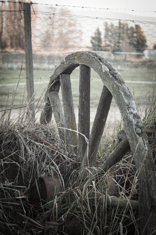 Free stock photo of cold, farm, fence