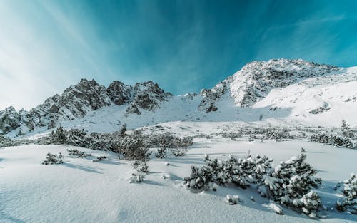 Immagine gratuita di alpino, bel paesaggio, collina