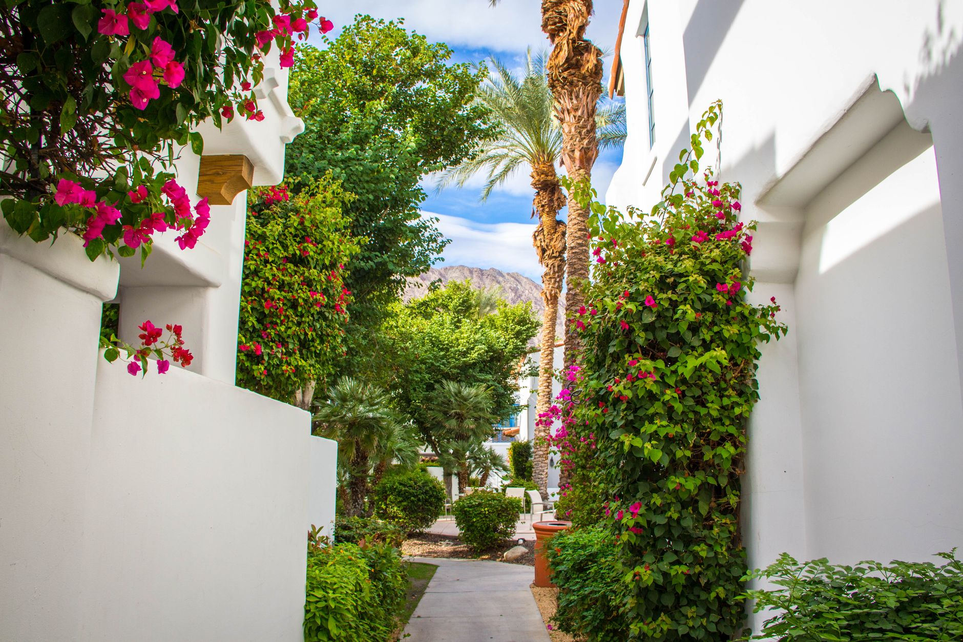 Palm Desert — Street, Palm Desert