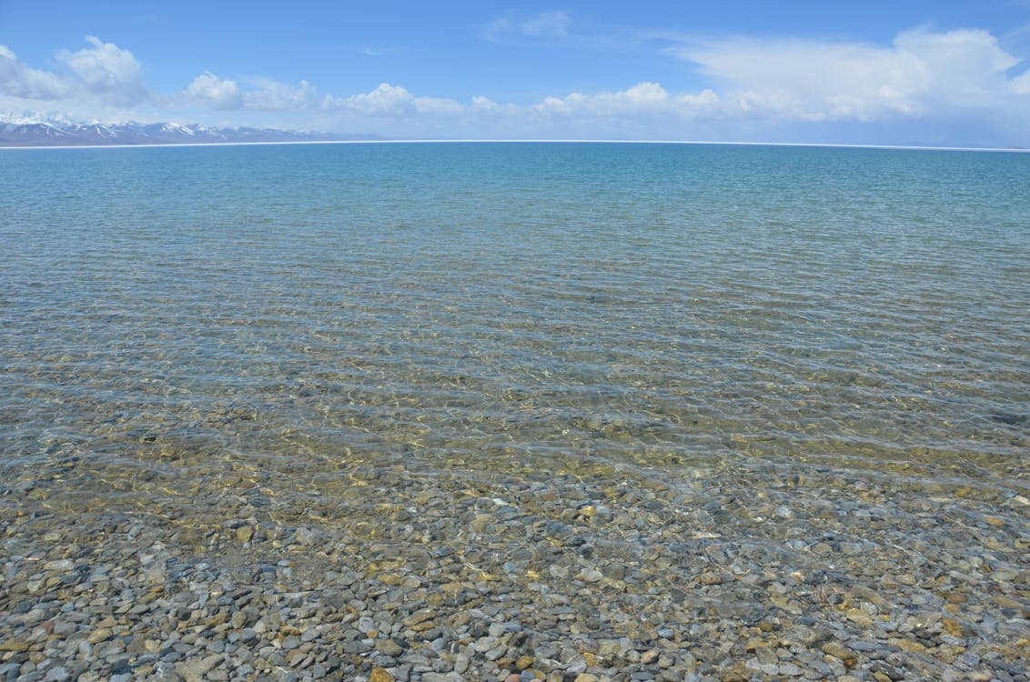 Ashmore Reef 珊瑚復育成功案例:2025 年海洋生態修復技術如何逆轉氣候破壞? Ashmore Reef 珊瑚復育成功案例:2025 年海洋生態修復技術如何逆轉氣候破壞?