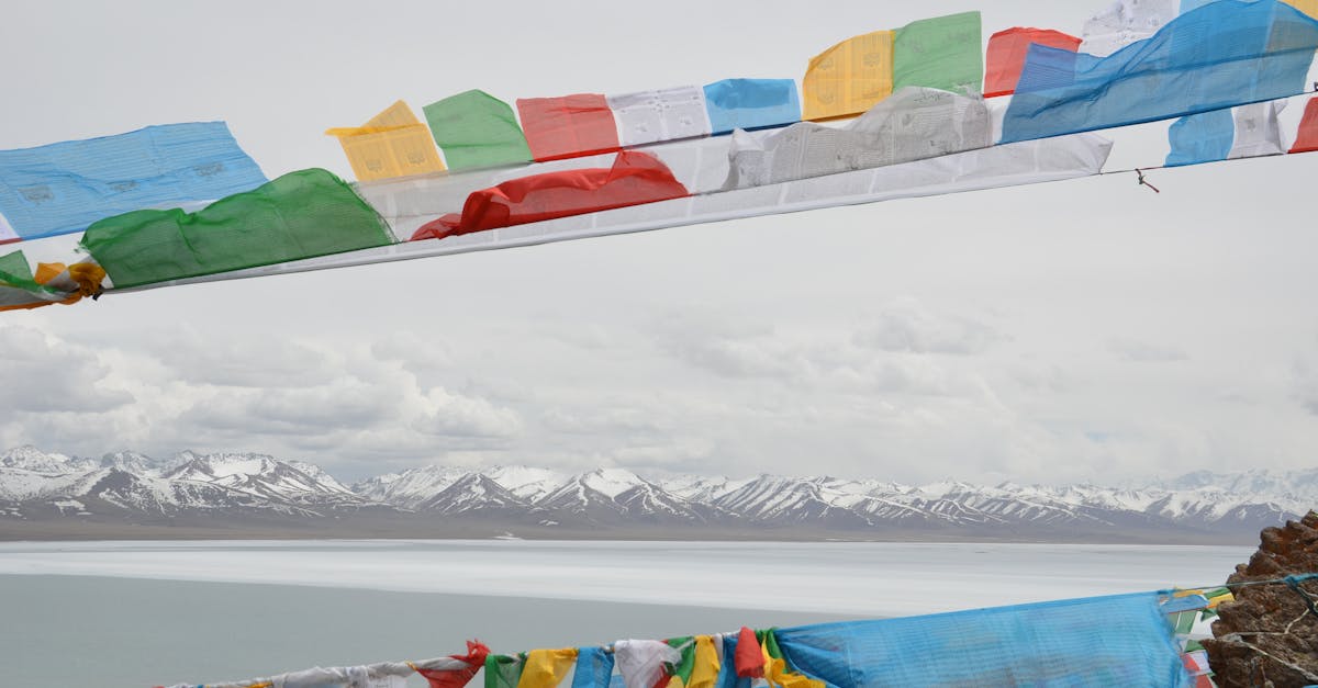 Free stock photo of tibet