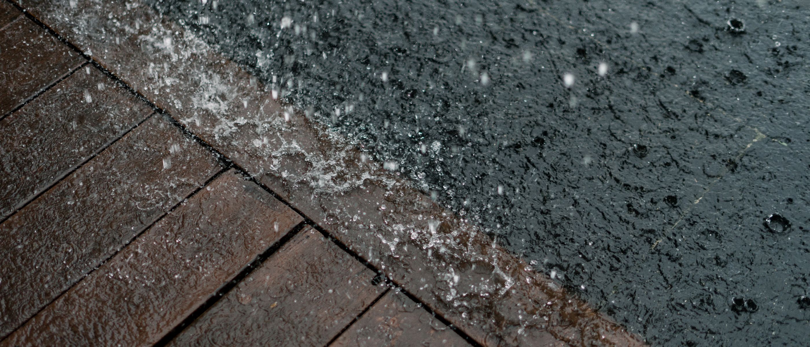 Exterior Painting in Stonebridge — surfaces prepped and cut in by hand