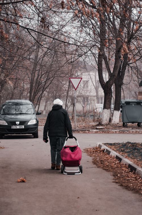Free A person walks down a leaf-strewn street in autumn, pulling a shopping cart. Stock Photo