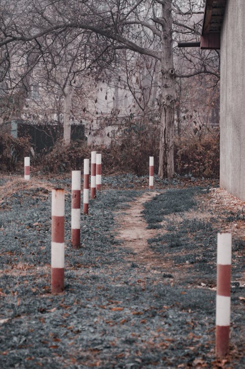 Immagine gratuita di campo d'erba, percorso, poli