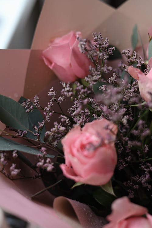 Free A Bouquet of Pink Roses Stock Photo