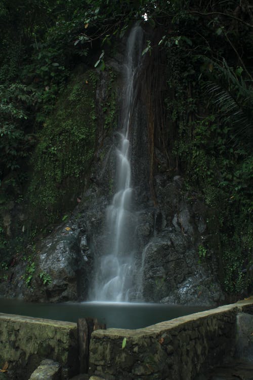 Waterfalls in the Middle of the Forest