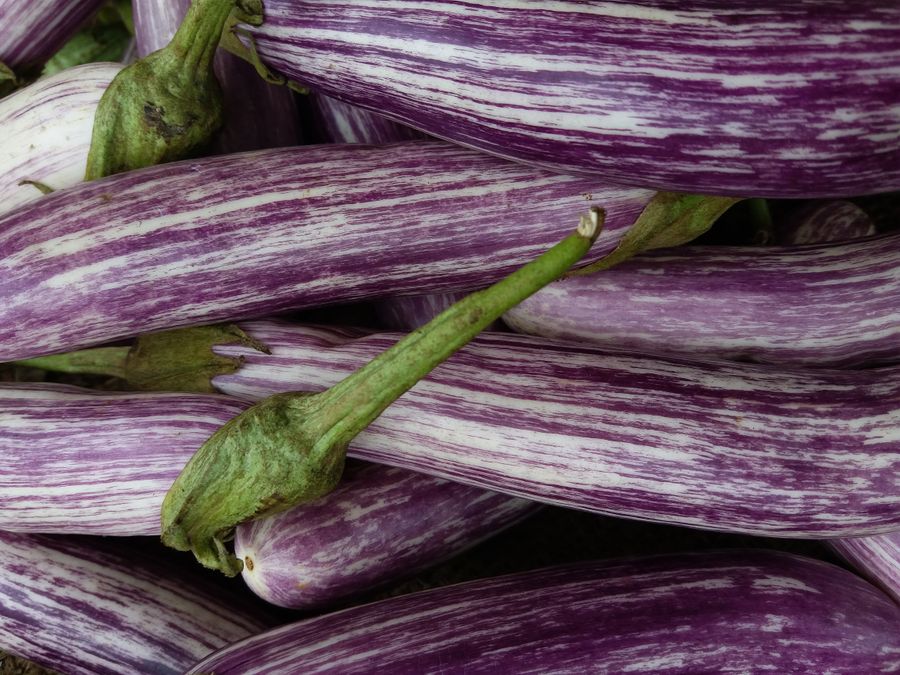 Brinjal