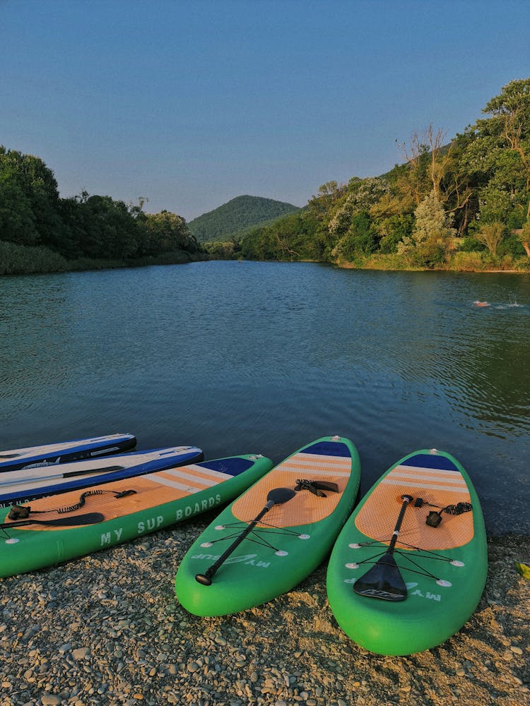 Green Sap Boards On The Shore