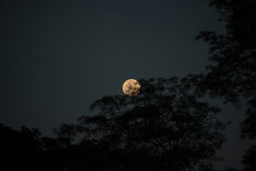 Full Moon in the Dark Sky