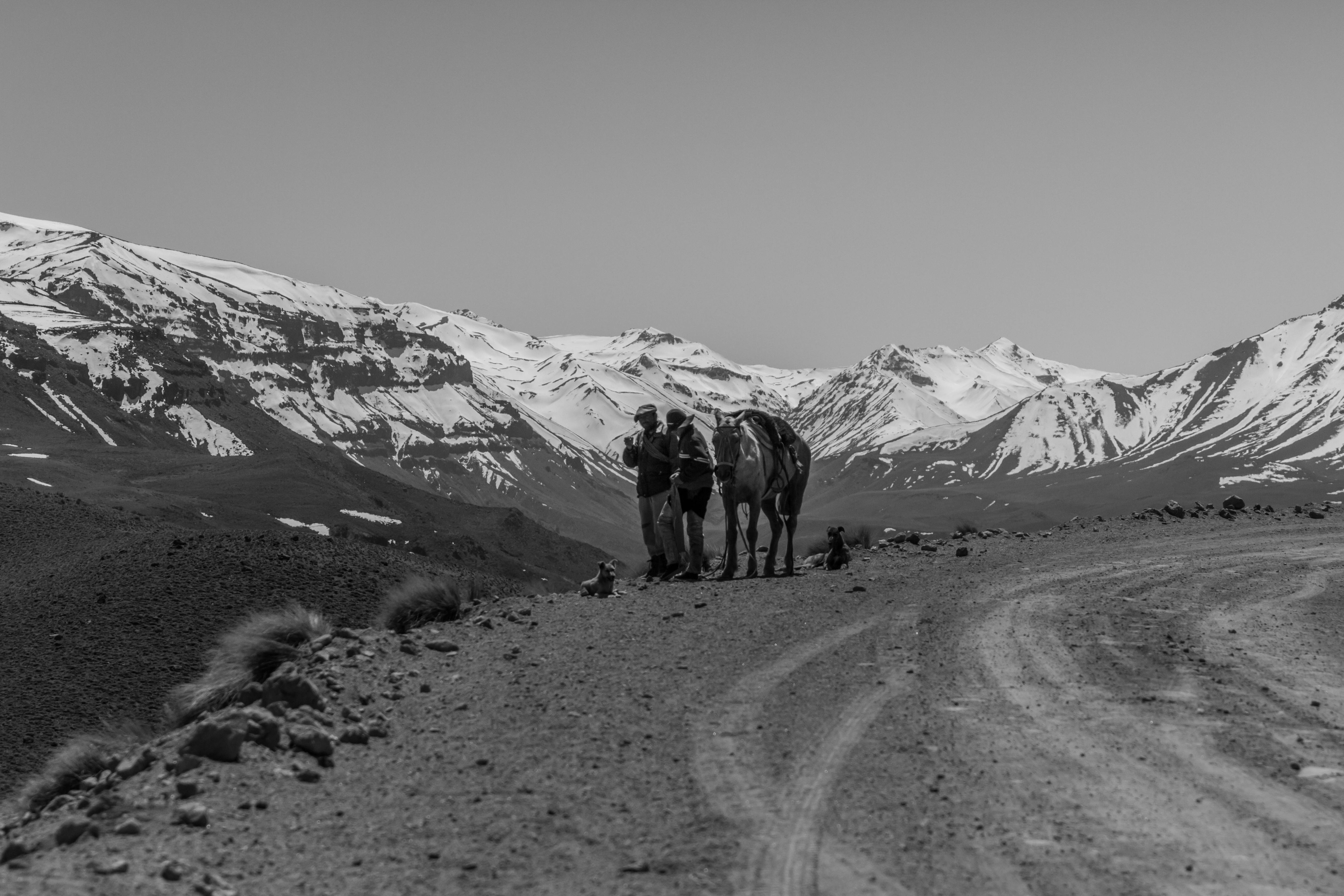 Consumer Trust in Google