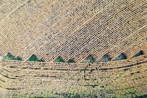 Gratis stockfoto met boerderij, dronefoto, gewas