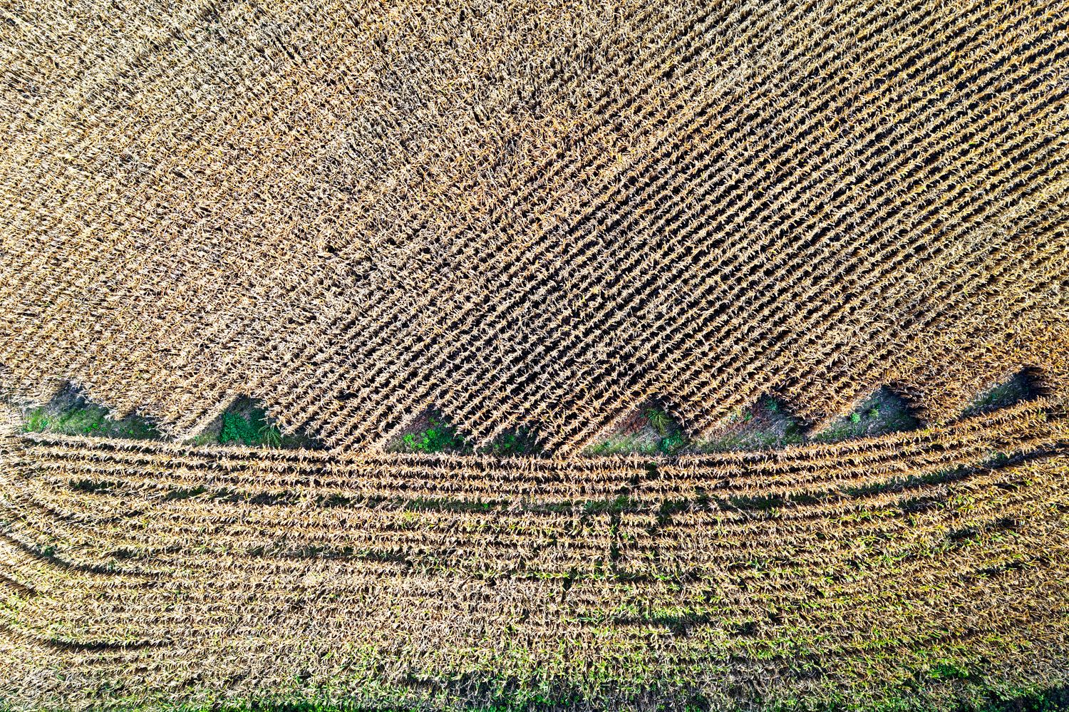 Farm Patterns Photos, Download The BEST Free Farm Patterns Stock Photos ...