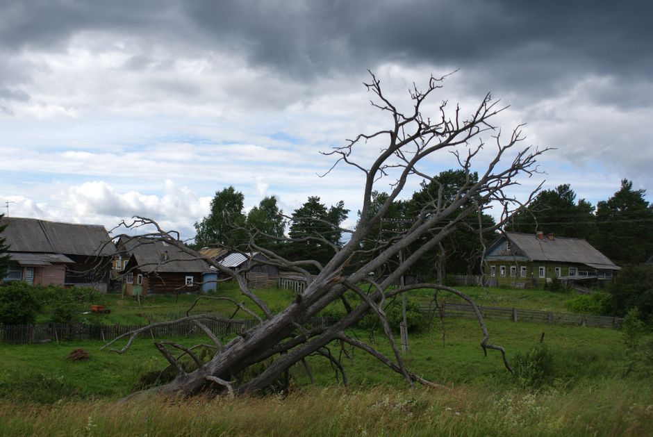 Dead tree standing in a rural landscape under a cloudy sky