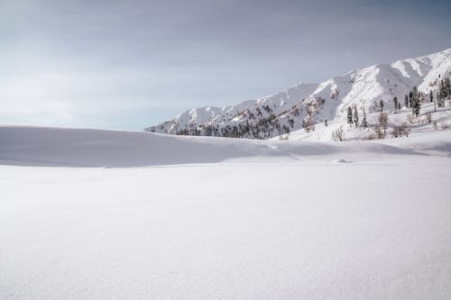 A Snow Covered Mountain