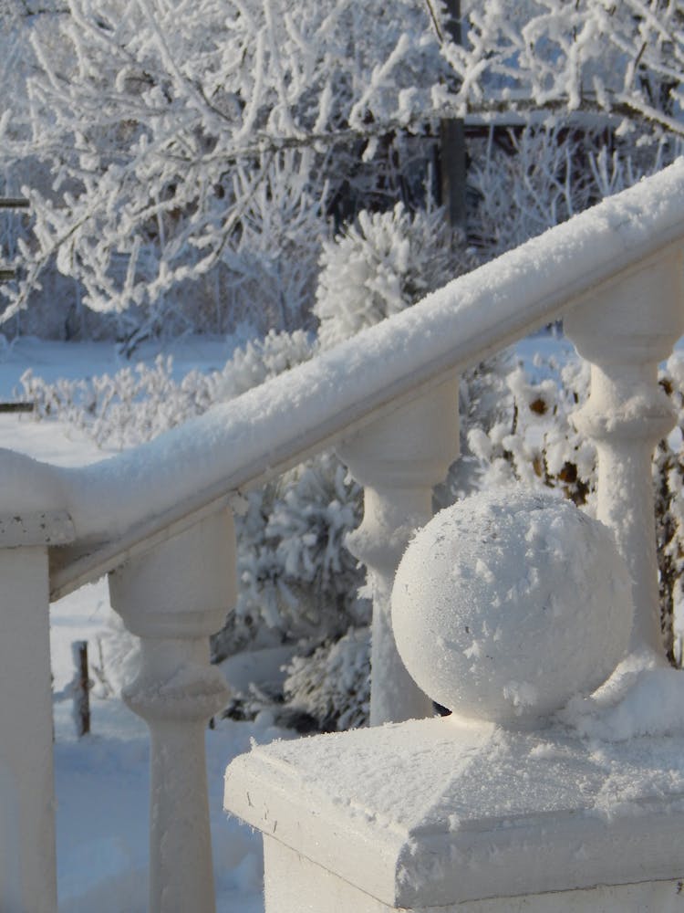 Steps And Trees Covered In Snow