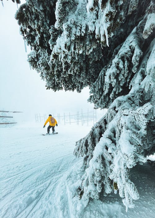 Základová fotografie zdarma na téma jízda na snowboardu, rýma, sezóna