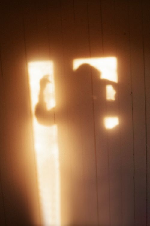 Free Silhouette on wall creating a captivating abstract formation with warm golden hour light. Stock Photo