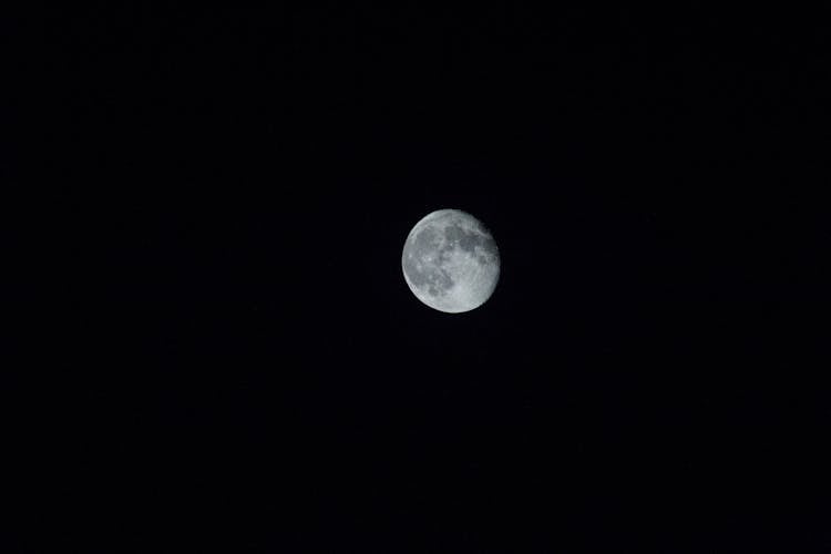 Moon On Night Sky