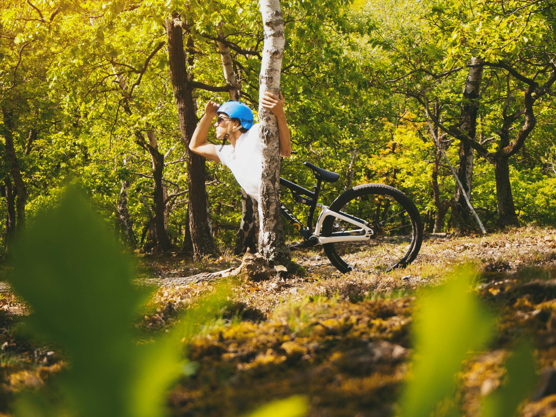 A young man enjoying a mountain biking adventure through a sunlit forest.