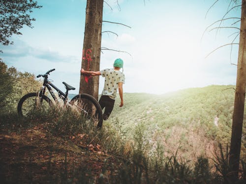 Man Holding Tree Enjoying the View Mountain