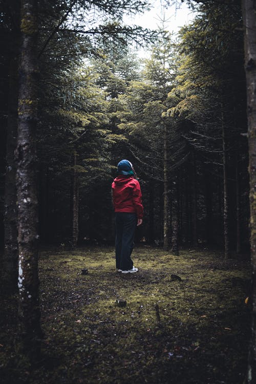 A Person in Red Jacket Standing in the Forest