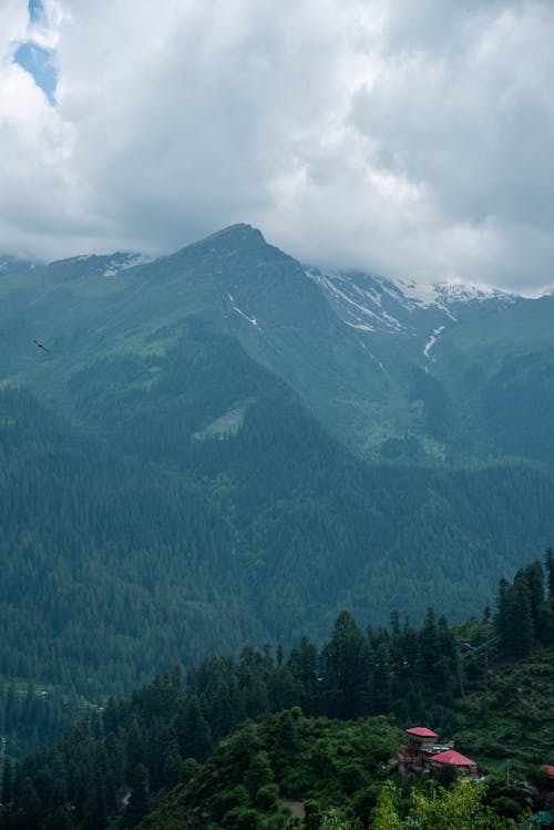 A Green Trees and Mountain Under the Cloudy Sky