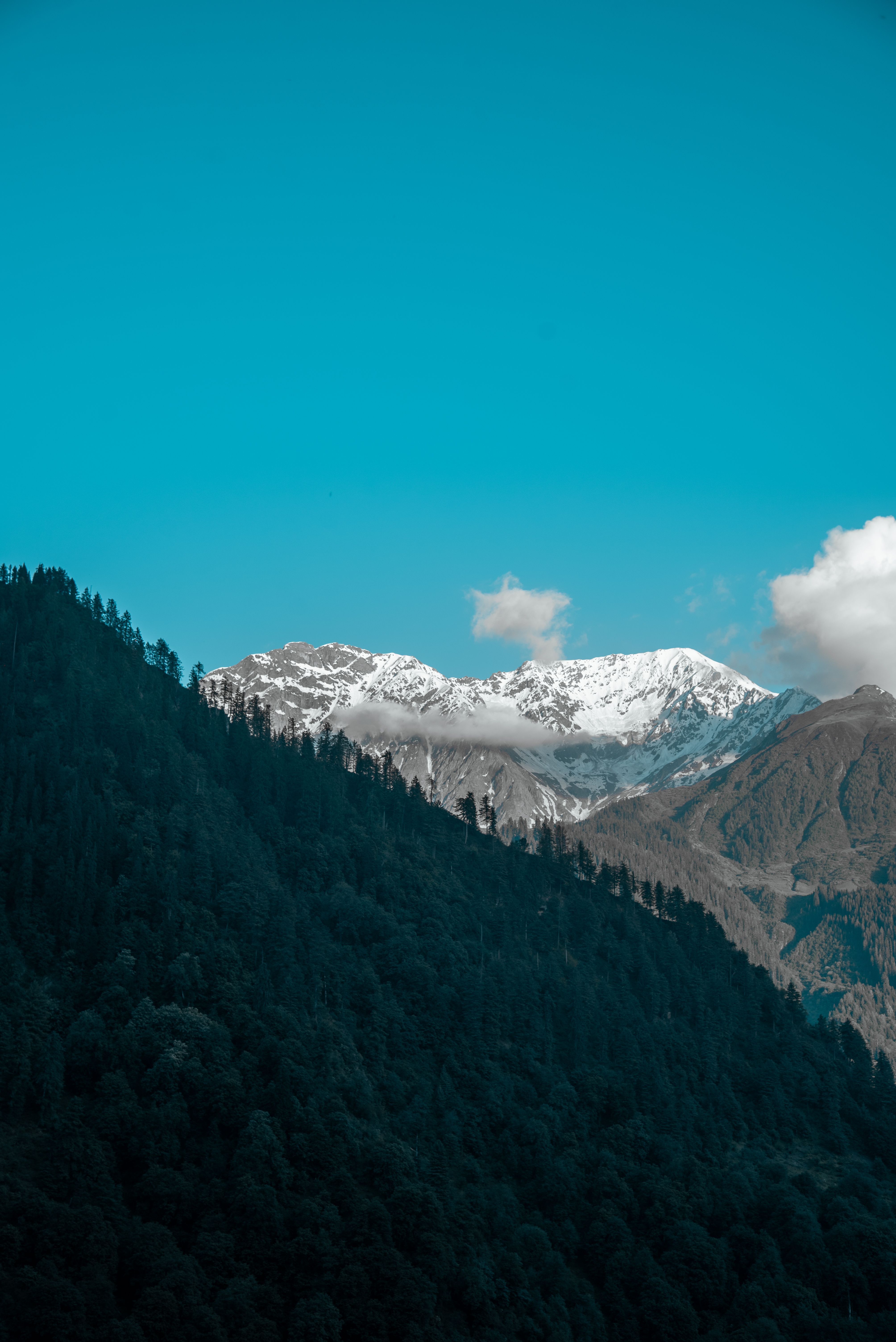 A Green Trees Near Snow Covered Mountain Under the Blue Sky · Free ...