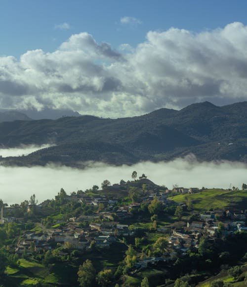 Immagine gratuita di brakou, foresta, fotografia aerea