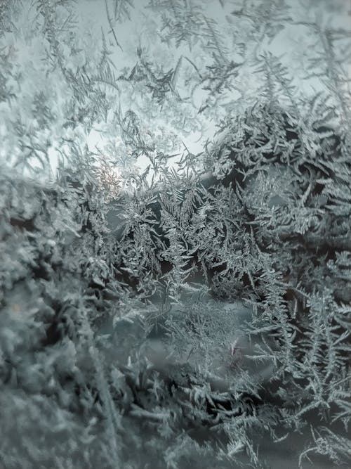 Close Up Shot of Snowflakes