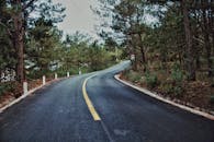 一条风景优美的柏油路蜿蜒穿过郁郁葱葱的森林，是旅行的理想选择