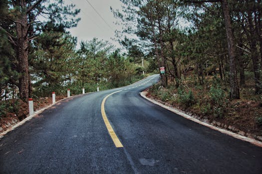 一条风景优美的柏油路蜿蜒穿过郁郁葱葱的森林，是旅行的理想选择