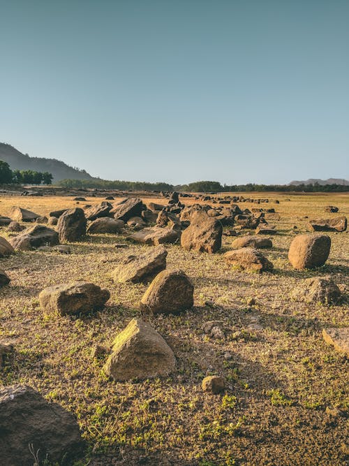 Ingyenes stockfotó álló kép, ég, este témában