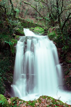Breathtaking waterfall amidst lush greenery in Rocas do Vouga, Portugal.