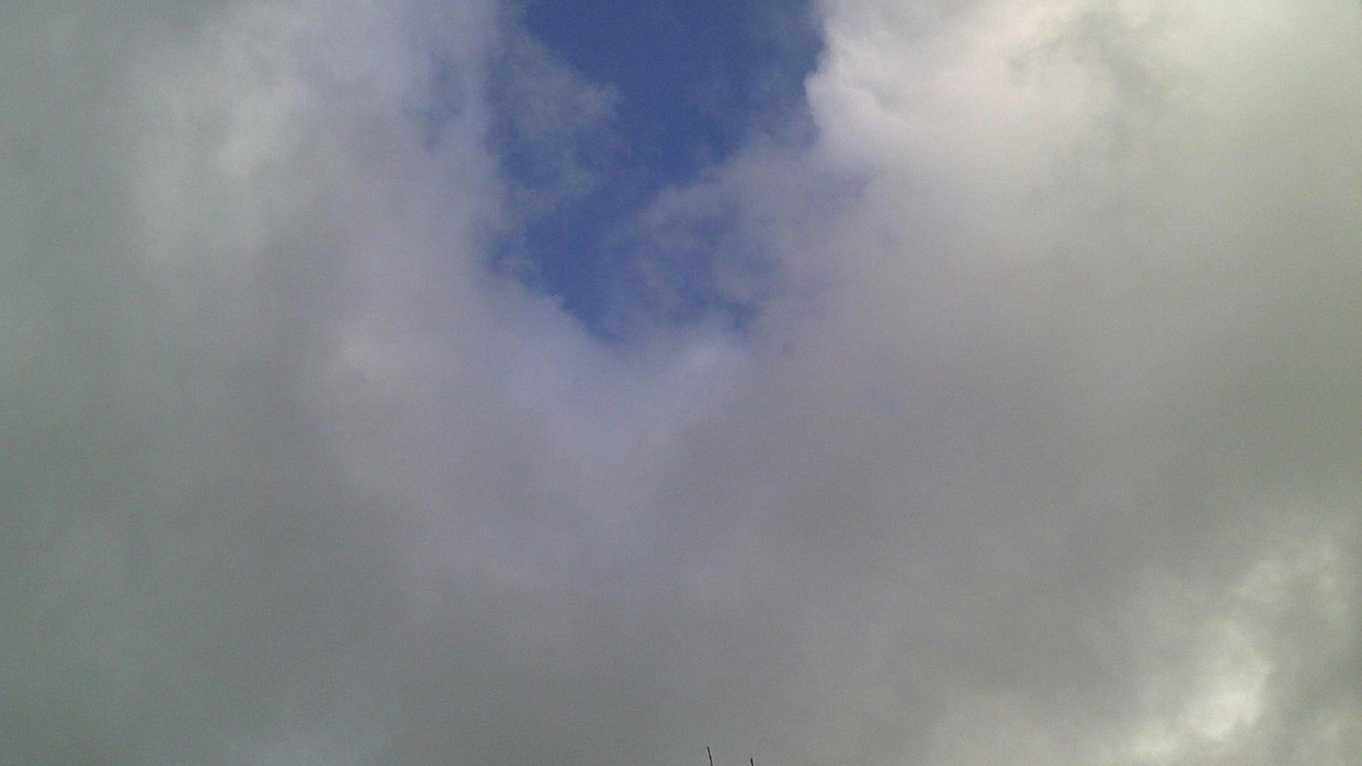 Cauliflower Fried Rice