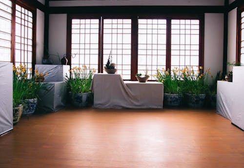 Безкоштовне стокове фото на тему «Windows, дерев’яна підлога, квіти»