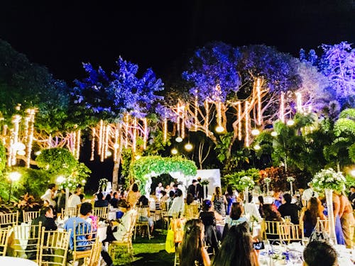 Fotos de stock gratuitas de amor, Boda, brillante