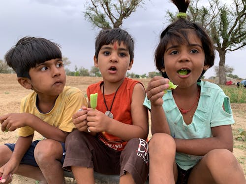 Foto stok gratis anak kecil, Asia, bersama