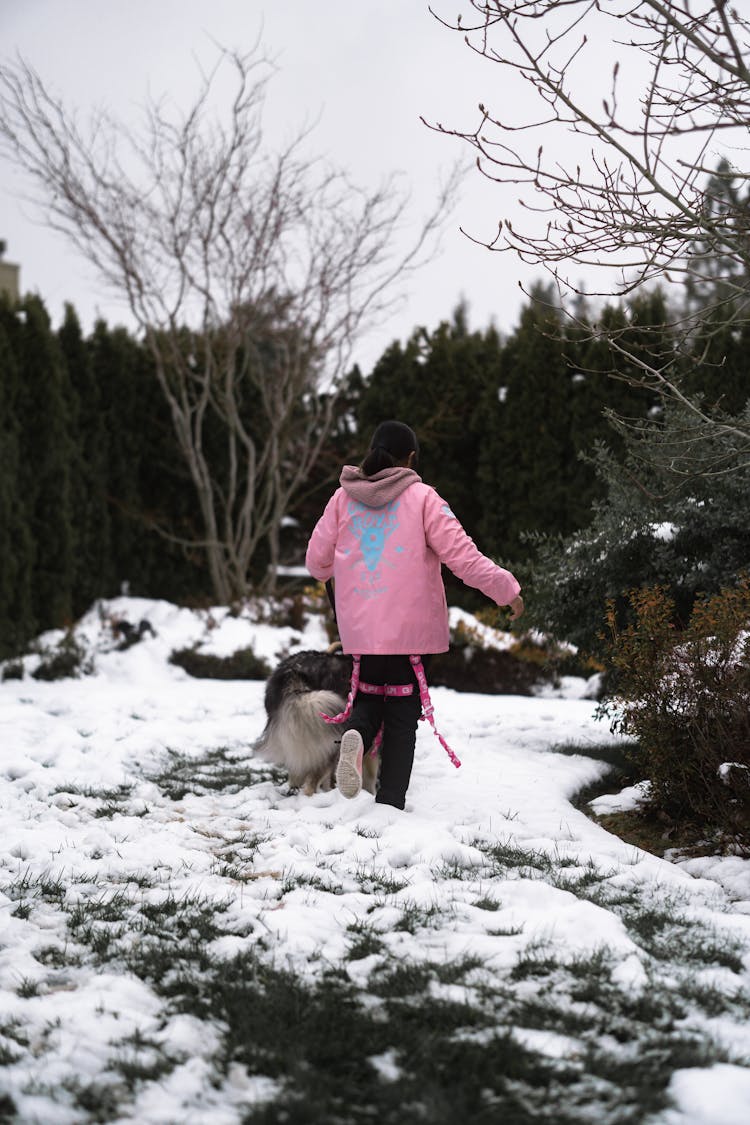 Woman In Pink Jacket Walking With Her Dog On Snow