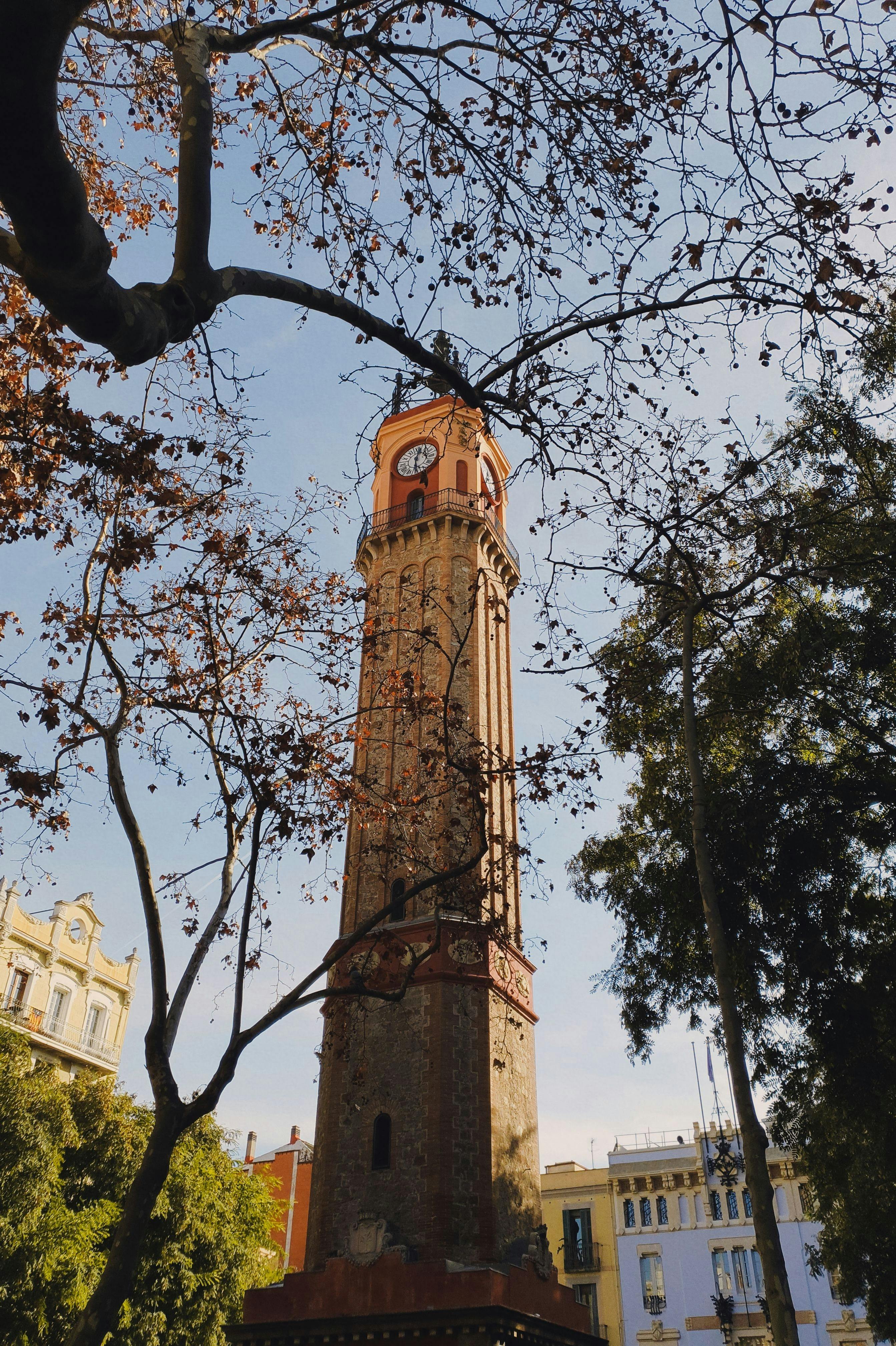 brown concrete clock tower near green trees